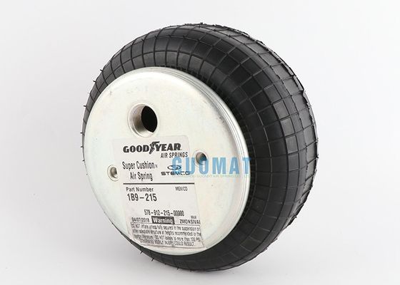 W01-M58-6374耐火石材の空気ばねはFS 200-10 CI G 3/4 Goodyear 1B9-215を示す