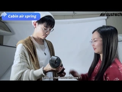 SCAHS 135198の人のタクシーの空気懸濁液の衝撃吸収材のBoge 30-A65-0のトラックの予備品